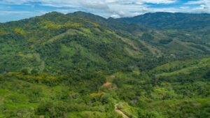60+ Hectare Mountain Estate for Sale in Platanillo Costa Rica – 201167 (44)