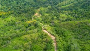60+ Hectare Mountain Estate for Sale in Platanillo Costa Rica – 201167 (45)