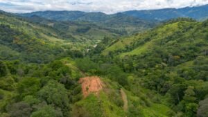 60+ Hectare Mountain Estate for Sale in Platanillo Costa Rica – 201167 (46)