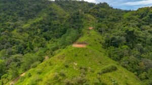 60+ Hectare Mountain Estate for Sale in Platanillo Costa Rica – 201167 (49)