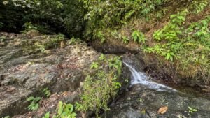 60+ Hectare Mountain Estate for Sale in Platanillo Costa Rica – 201167 (7)
