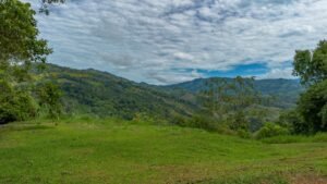 60+ Hectare Mountain Estate for Sale in Platanillo Costa Rica – 201167 (8)