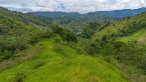 60+ Hectare Mountain Estate for Sale in Platanillo Costa Rica – 201167 (9)