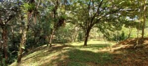 Luxury Home for Sale in Ojochal Costa Rica 4.24 Acres – 201066 (4)