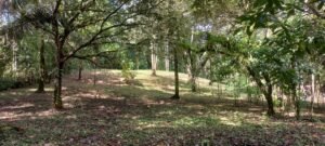 Luxury Home for Sale in Ojochal Costa Rica 4.24 Acres – 201066 (6)