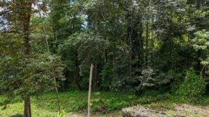 Ocean View Residential Lot for Sale in Uvita 1.29 Acres- 200861 (12)