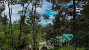 Ocean View Residential Lot for Sale in Uvita 1.29 Acres- 200861 (13)