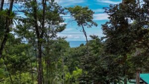Ocean View Residential Lot for Sale in Uvita 1.29 Acres- 200861 (14)