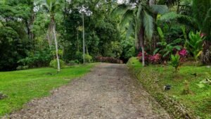 Ocean View Residential Lot for Sale in Uvita 1.29 Acres- 200861 (3)