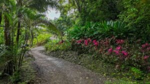 Ocean View Residential Lot for Sale in Uvita 1.29 Acres- 200861 (4)