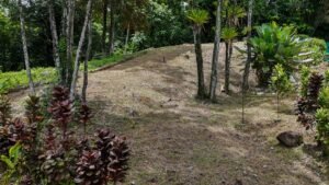 Ocean View Residential Lot for Sale in Uvita 1.29 Acres- 200861 (9)