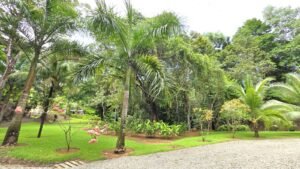 Riverfront Home in Ojochal Costa Rica 3 Bedroom Suites – 201511 (16)