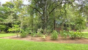 Riverfront Home in Ojochal Costa Rica 3 Bedroom Suites – 201511 (18)