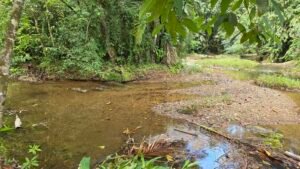 Riverfront Home in Ojochal Costa Rica 3 Bedroom Suites – 201511 (19)