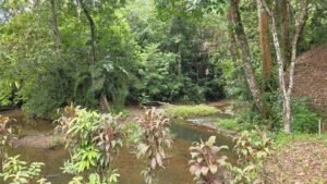 Riverfront Home in Ojochal Costa Rica 3 Bedroom Suites – 201511 (20)