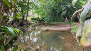Riverfront Home in Ojochal Costa Rica 3 Bedroom Suites – 201511 (21)