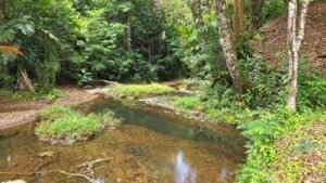 Riverfront Home in Ojochal Costa Rica 3 Bedroom Suites – 201511 (6)