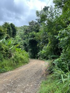 Riverfront Lot for Sale in Uvita, Costa Rica 3,055 m² – 200811 (1)