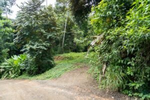 Riverfront Lot for Sale in Uvita, Costa Rica 3,055 m² – 200811 (10)