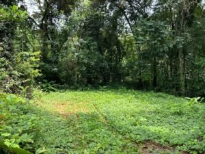 Riverfront Lot for Sale in Uvita, Costa Rica 3,055 m² – 200811 (11)