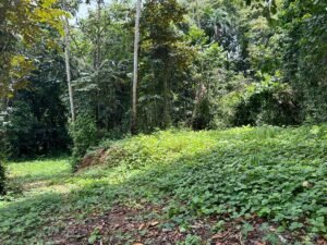 Riverfront Lot for Sale in Uvita, Costa Rica 3,055 m² – 200811 (2)