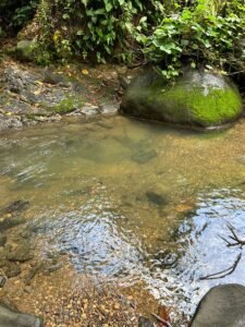 Riverfront Lot for Sale in Uvita, Costa Rica 3,055 m² – 200811 (3)