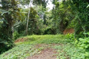 Riverfront Lot for Sale in Uvita, Costa Rica 3,055 m² – 200811 (3)