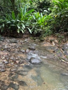 Riverfront Lot for Sale in Uvita, Costa Rica 3,055 m² – 200811 (4)