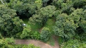Riverfront Lot for Sale in Uvita, Costa Rica 3,055 m² – 200811 (4)