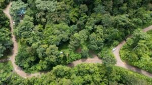 Riverfront Lot for Sale in Uvita, Costa Rica 3,055 m² – 200811 (6)