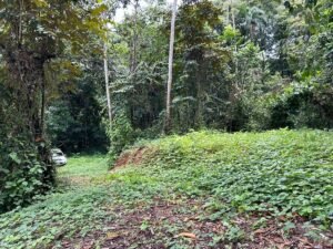 Riverfront Lot for Sale in Uvita, Costa Rica 3,055 m² – 200811 (6)