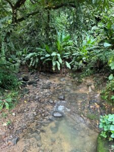 Riverfront Lot for Sale in Uvita, Costa Rica 3,055 m² – 200811 (7)