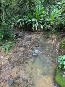 Riverfront Lot for Sale in Uvita, Costa Rica 3,055 m² – 200811 (8)