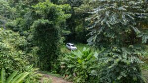 Riverfront Lot for Sale in Uvita, Costa Rica 3,055 m² – 200811 (8)