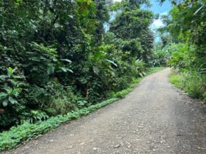 Riverfront Lot for Sale in Uvita, Costa Rica 3,055 m² – 200811 (9)