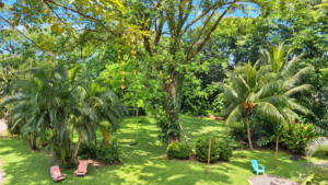 Riverside Cabin in Uvita 0.98-Acre Tropical Estate – 201269 (10)