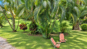 Riverside Cabin in Uvita 0.98-Acre Tropical Estate – 201269 (2)