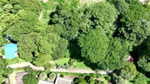 Riverside Cabin in Uvita 0.98-Acre Tropical Estate – 201269 (3)