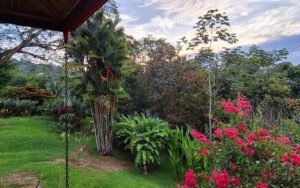 Two Villas for Sale in Uvita Costa Rica Tropical Estate – 199518 (2)