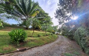 Two Villas for Sale in Uvita Costa Rica Tropical Estate – 199518 (4)