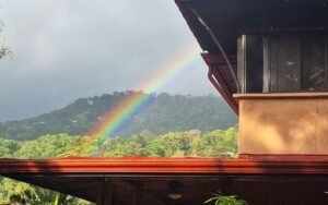 Two Villas for Sale in Uvita Costa Rica Tropical Estate – 199518 (63)