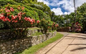 Two Villas for Sale in Uvita Costa Rica Tropical Estate – 199518 (75)