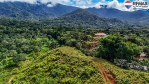 investment land for sale in costa rica 1 (11)
