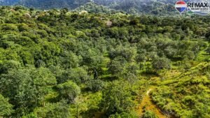 investment land for sale in costa rica 1 (12)