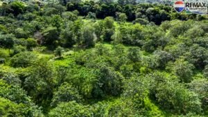 investment land for sale in costa rica 1 (14)