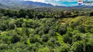 investment land for sale in costa rica 1 (15)