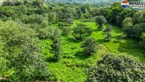 investment land for sale in costa rica 1 (16)