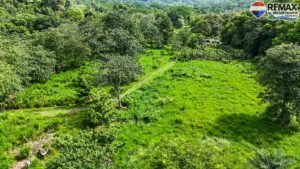 investment land for sale in costa rica 1 (17)