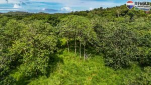 investment land for sale in costa rica 1 (18)