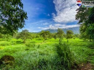 investment land for sale in costa rica 1 (2)